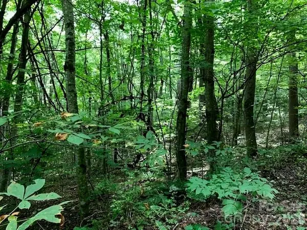 00 Red Oak LN N #Lot #24, Burnsville, NC 28714