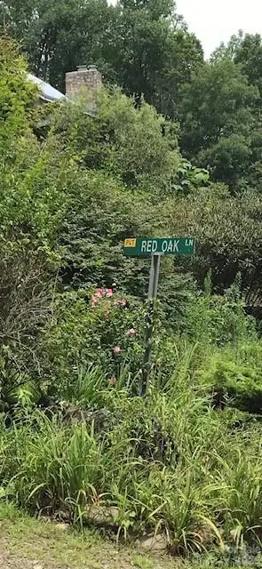 00 Red Oak LN N #Lot #24, Burnsville, NC 28714