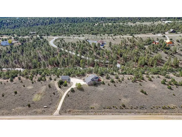 12880 County Road 261B, Nathrop, CO 81236