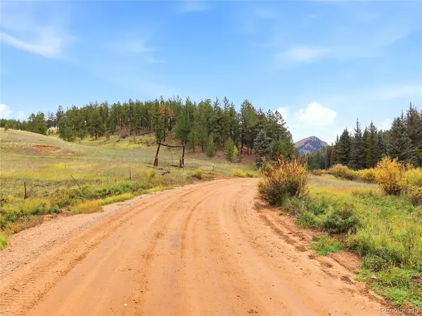 8567 Cr-3, Divide, CO 80814