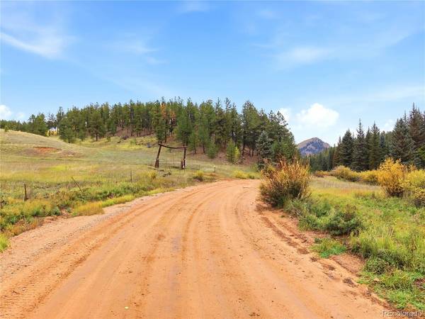 8567 Cr-3, Divide, CO 80814