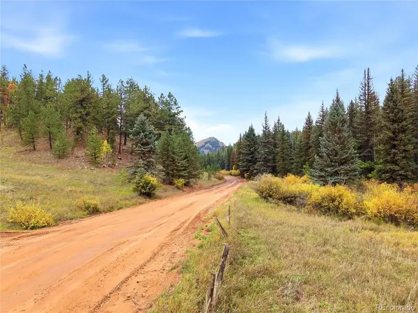 8567 Cr-3, Divide, CO 80814