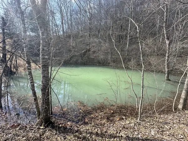 315 Little Creek Rd, Pleasant Shade, TN 37145