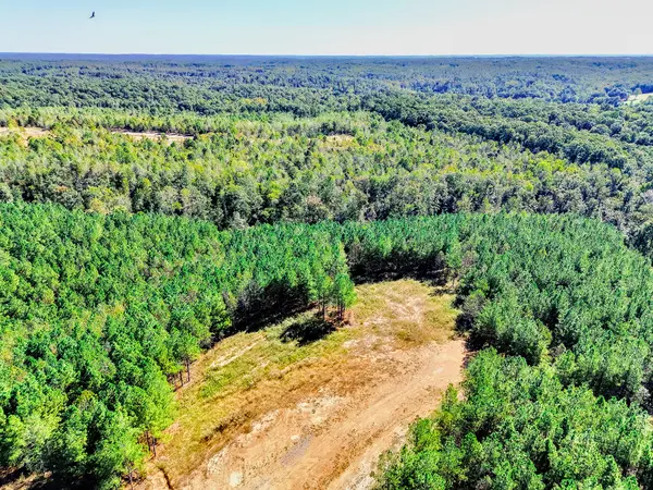 0 Warren Proctor Lane, Erin, TN 37061