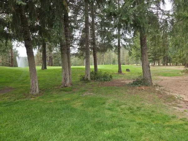 556 Palmer Ln, Chewelah, WA 99109