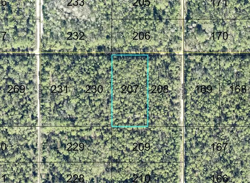 207 DONNA ST, Hastings, FL 32145