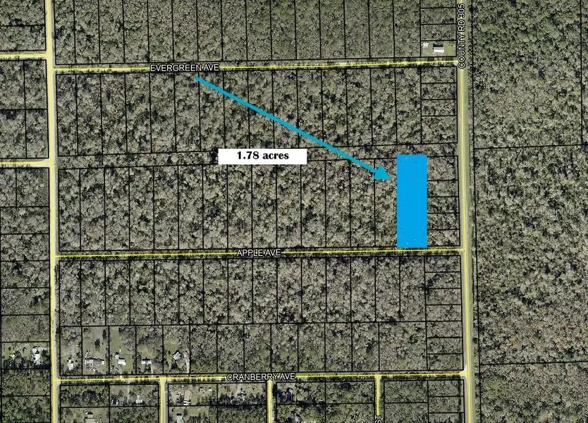 3540 APPLE AVE, Bunnell, FL 32110