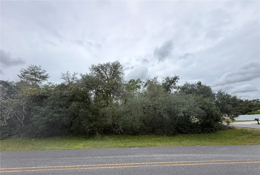 MARION OAKS GOLF WAY AND 166TH PLACE RD, Ocala, FL 34473