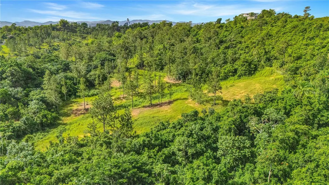 63 SECTOR MONTICELLO, Cidra, PR 00739