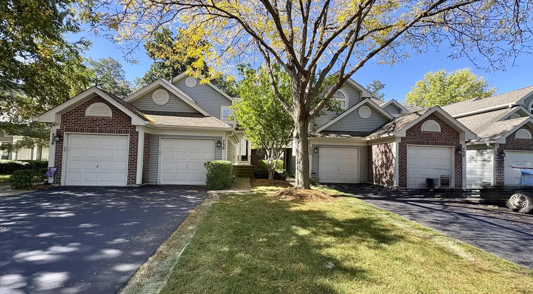 730 Ripple Brook LN, Elgin, IL 60120