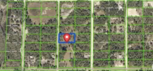 7490 CASTLEBERRY DR, Webster, FL 33597