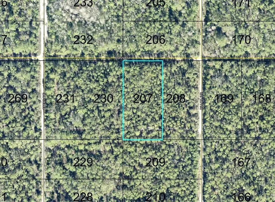 207 DONNA ST, Hastings, FL 32145