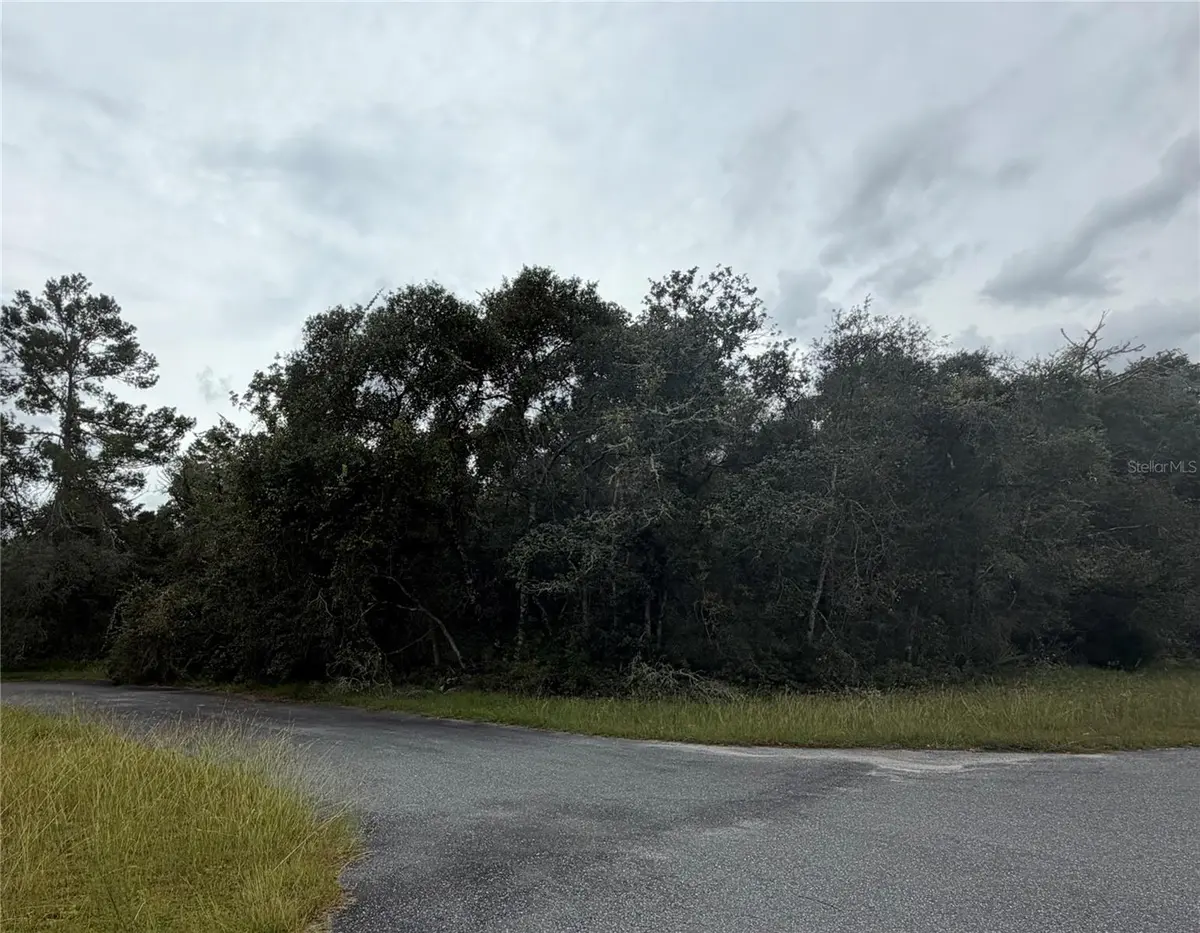 MARION OAKS GOLF RD AND 38TH CT, Ocala, FL 34473