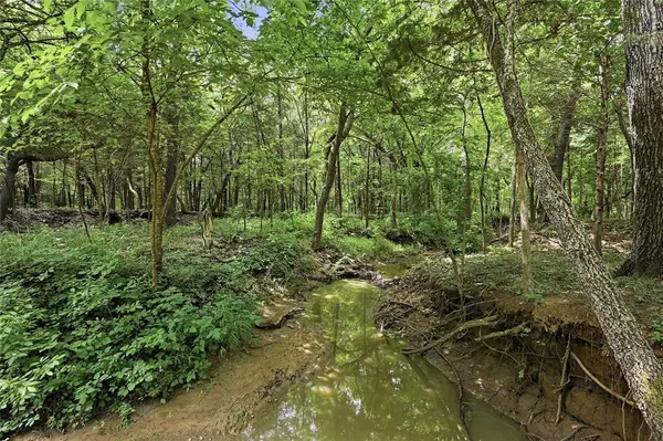 TBD Ranch Road, Whitesboro, TX 76273