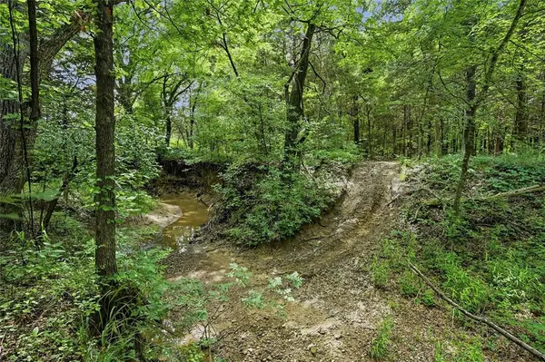 TBD Ranch Road, Whitesboro, TX 76273