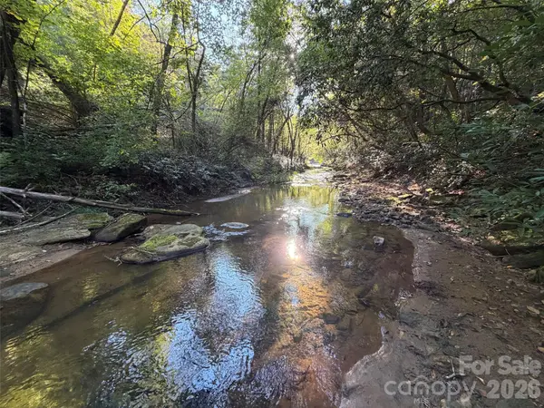 V/L Kashs WAY #7, Nebo, NC 28761