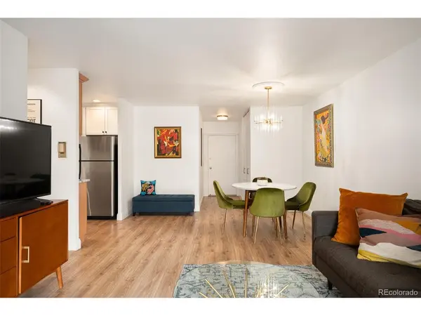 700 N Washington #305, Denver, CO 80203