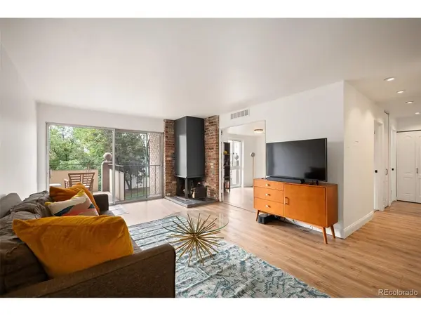 700 N Washington #305, Denver, CO 80203