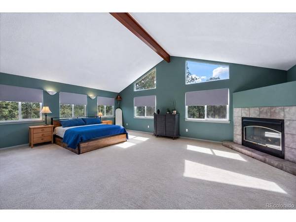 153 Chickadee, Bailey, CO 80421