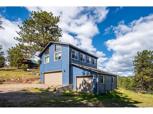 153 Chickadee, Bailey, CO 80421