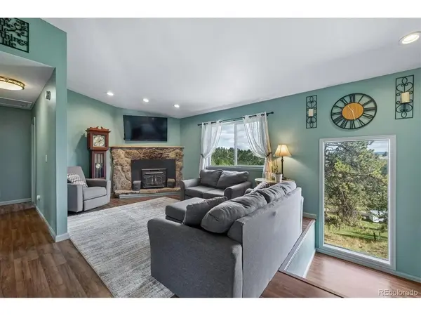 153 Chickadee, Bailey, CO 80421