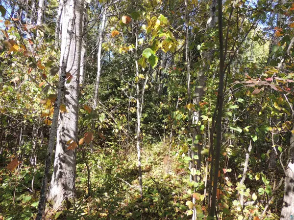 XX W 5th St, Grand Marais, MN 55604