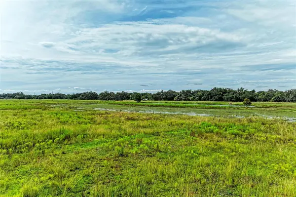 COKER GULLY RD, Myakka City, FL 34251