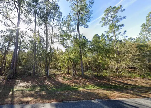 200 NW SCENIC LAKE DR, Lake City, FL 32055