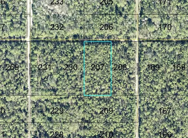 207 DONNA ST, Hastings, FL 32145