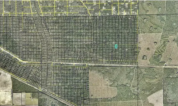 207 DONNA ST, Hastings, FL 32145