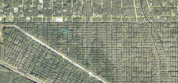 403 YEAGER AVE, Hastings, FL 32145