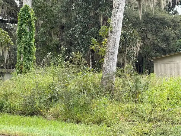 COUNTY ROAD 426E, Lake Panasoffkee, FL 33538