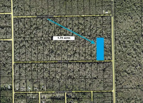 3540 APPLE AVE, Bunnell, FL 32110