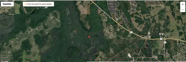 HOLOPAW GROVES RD, St Cloud, FL 34773