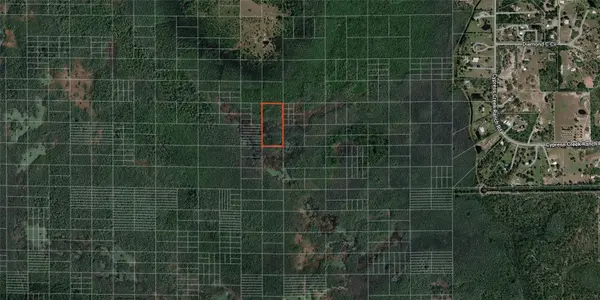 HOLOPAW GROVES RD, St Cloud, FL 34773