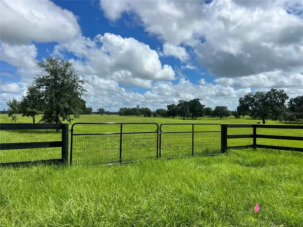 TBD NW 464B HWY, Morriston, FL 32668