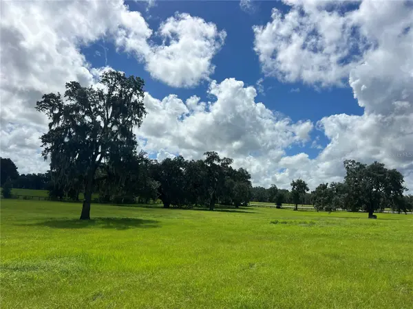 TBD NW 464B HWY, Morriston, FL 32668