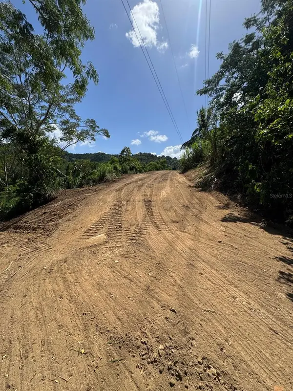 PR 796 Km 1.4 RIO CANAS WARD, Caguas, PR 00725