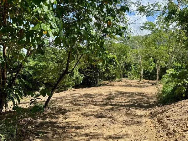 PR 796 Km 1.4 RIO CANAS WARD, Caguas, PR 00725