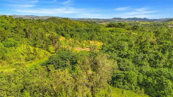 63 SECTOR MONTICELLO, Cidra, PR 00739