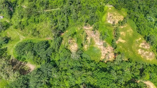 63 SECTOR MONTICELLO, Cidra, PR 00739