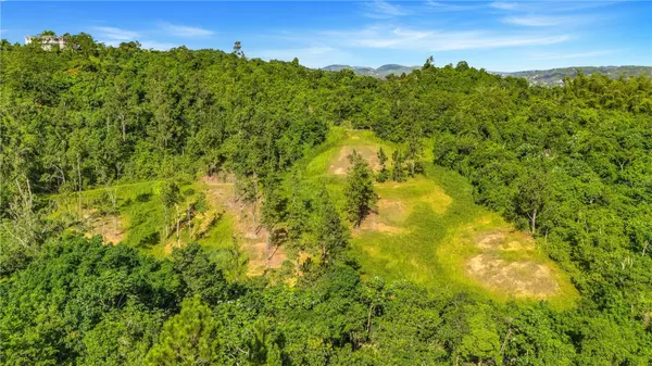 63 SECTOR MONTICELLO, Cidra, PR 00739