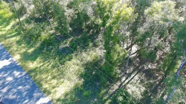 9321 N JACKSON WAY, Citrus Springs, FL 34434