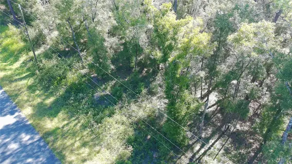 9321 N JACKSON WAY, Citrus Springs, FL 34434