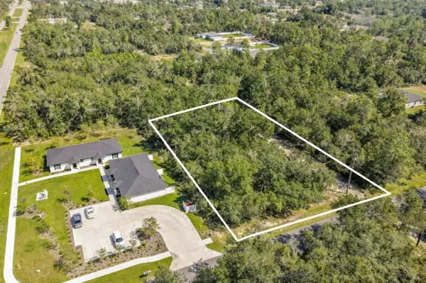 SW 153 LN, Ocala, FL 34473