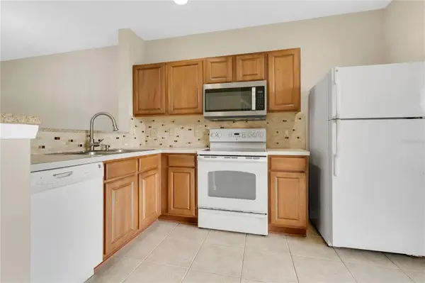 10173 BESSEMER POND CT, Riverview, FL 33578