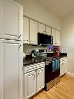 1810 E PALM AVE #5202, Tampa, FL 33605