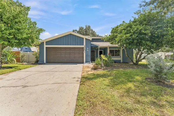 15801 COUNTRY LAKE DR, Tampa, FL 33624