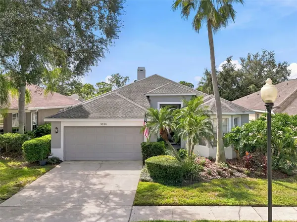 3230 STONEBRIDGE TRL, Valrico, FL 33596