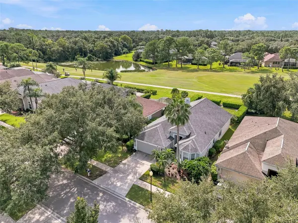 3230 STONEBRIDGE TRL, Valrico, FL 33596
